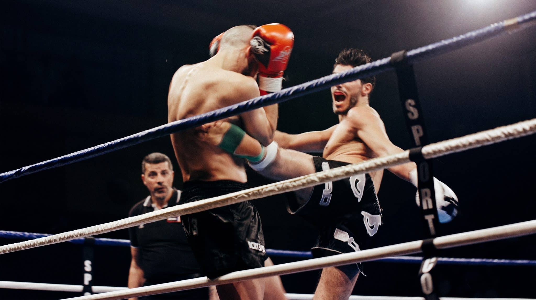 MMA fight