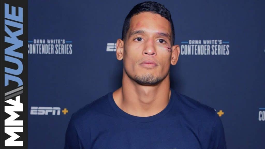 лучшие бойцы ufc мма бойцы